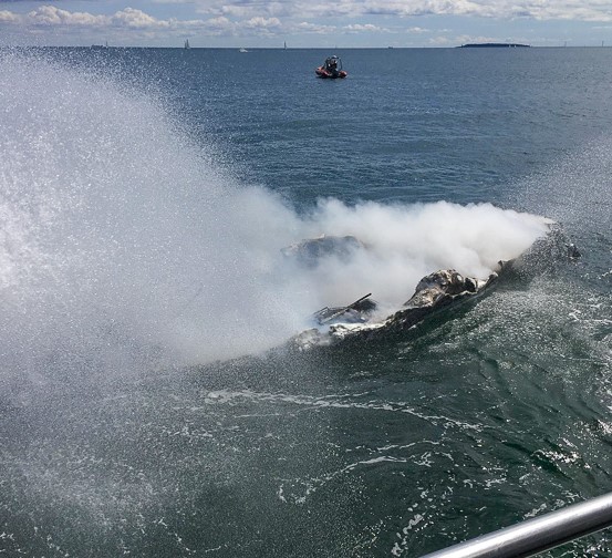 2 foto jane palawska marinehjemmeværnet