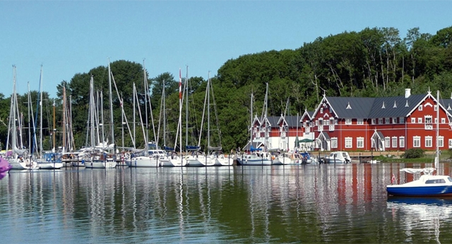 Dyvig