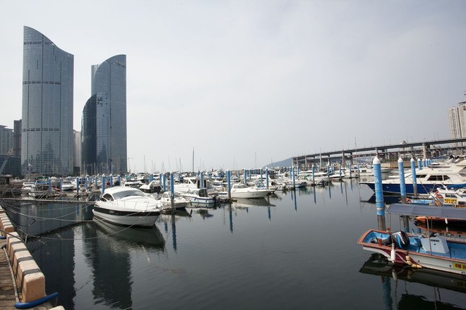 Busan Marina Guy Nowell