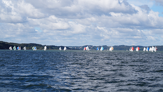DSC05466 Spiler felt på Vejle Fjord