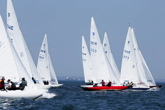 Drage21