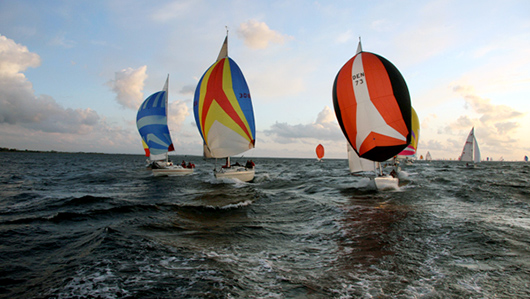 Galleri 5