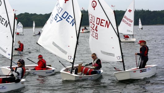 IMG 9014