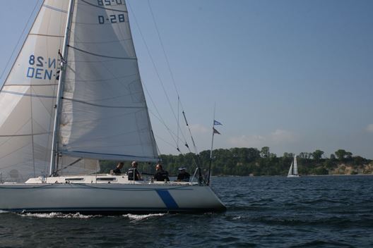 cfr 2013_matador_528