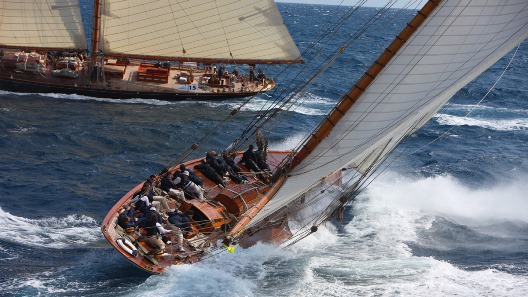 regates royale 6_528