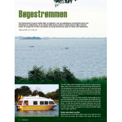Bøgestrømmen
