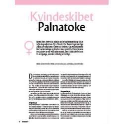 Kvindeskibet Palnatoke